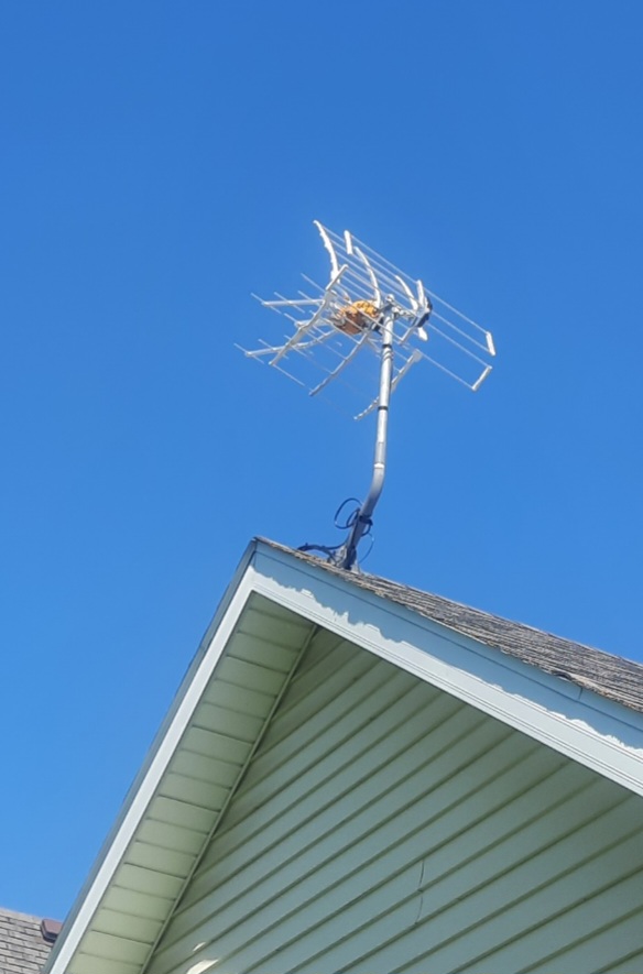 spider antenna on top of roof.